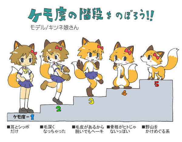 Pixiv 上一位画师绘制的兽化等级表
2-5 级可归为 furry，2、3 级可归为兽人